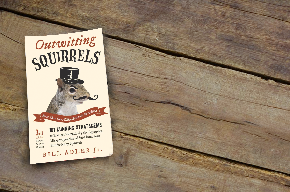 Book Review Outwitting Squirrels By Bill Adler Jr The